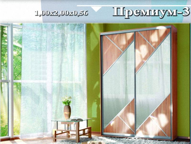 шкаф-купе «премиум 3» в Дзержинске