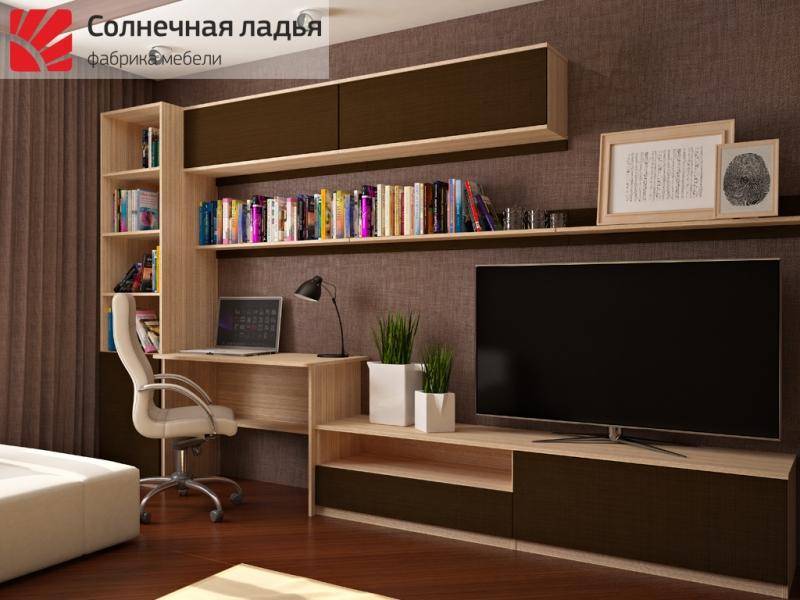 шкаф - купе для гостиной 13 в Дзержинске