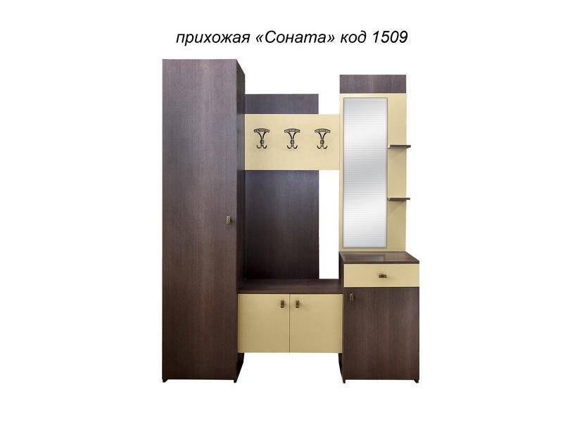 прихожая соната в Дзержинске