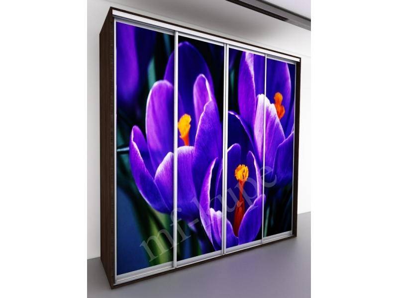 шкаф-купе бергамо violet 4 в Дзержинске
