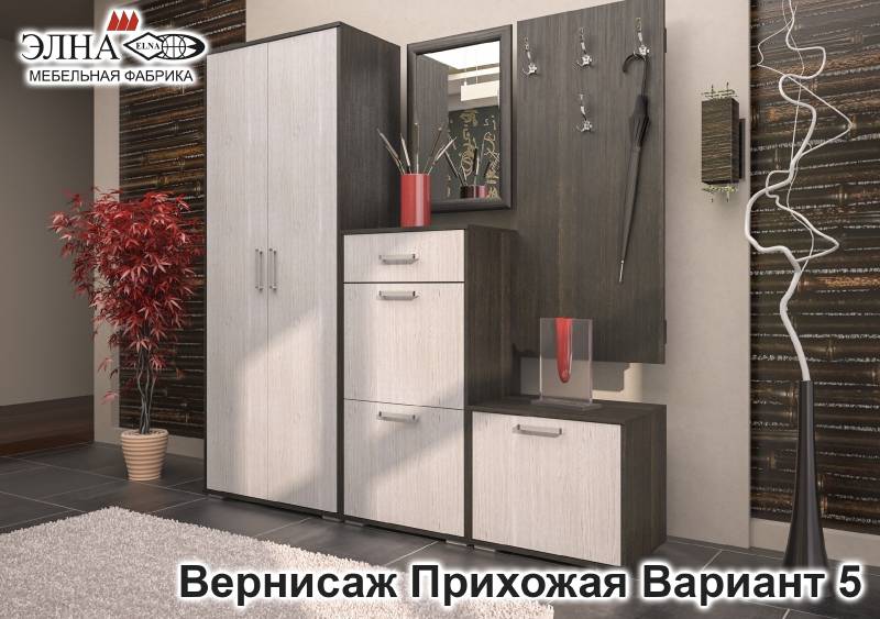 прихожая вернисаж вариант 5 в Дзержинске