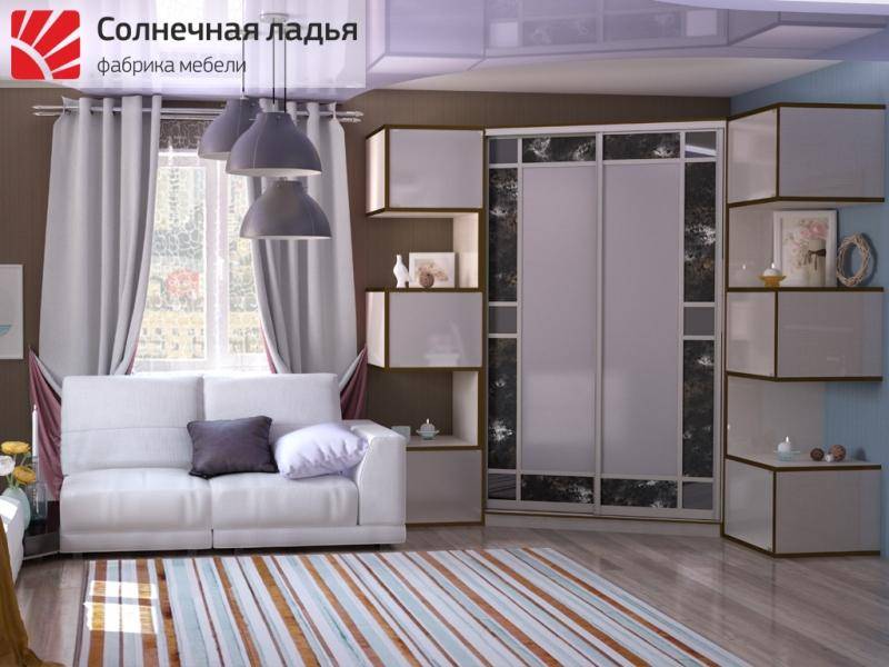 шкаф - купе для гостиной 16 в Дзержинске