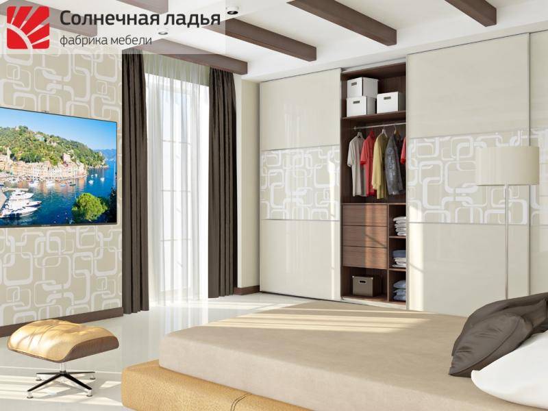 шкаф - купе для гостиной 8 в Дзержинске