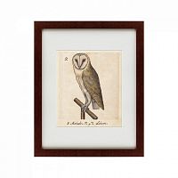 картина: one owl, 1560 в Дзержинске