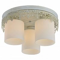 потолочная люстра lussole lgo promo lsp-0049 в Дзержинске