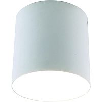 потолочный светильник divinare tubo 1463/03 pl-1 в Дзержинске