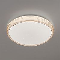 потолочный светодиодный светильник eurosvet universal 40008/1 led кофе в Дзержинске