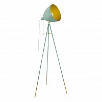 торшер eglo chester-p 49048 в Дзержинске