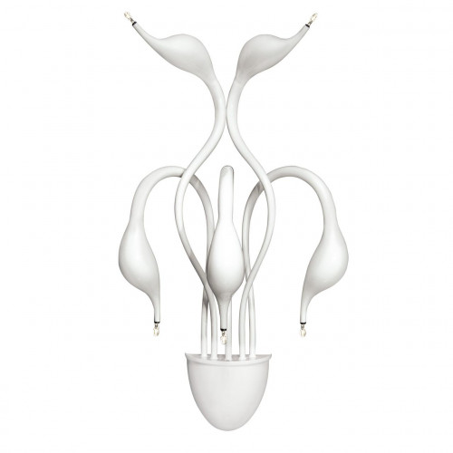 бра lightstar cigno collo wt 751656 в Дзержинске