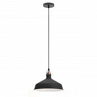подвесной светильник эра loft pl2 bk/rc в Дзержинске