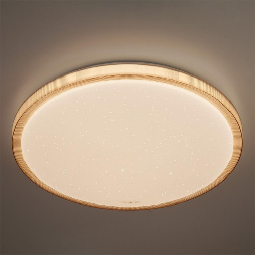 потолочный светодиодный светильник eurosvet sandy 40015/1 led кофе в Дзержинске