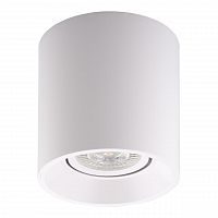 потолочный светильник denkirs dk3040-wh в Дзержинске