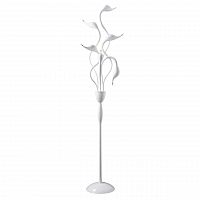 торшер lightstar cigno collo wt 751766 в Дзержинске