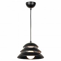 подвесной светильник lussole loft beijing lsp-8131 в Дзержинске