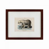 картина: white polar bear on an ice, 1830 в Дзержинске