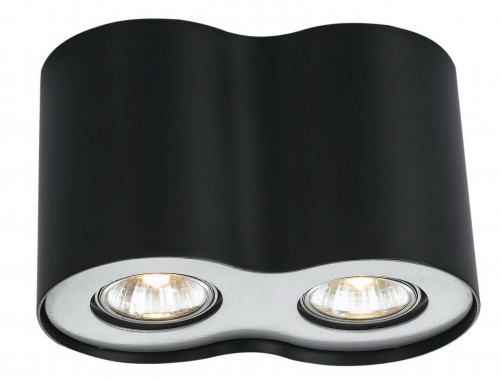потолочный светильник arte lamp falcon a5633pl-2bk в Дзержинске