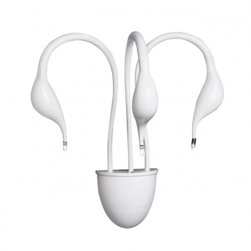 бра lightstar cigno collo wt 751636 в Дзержинске