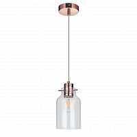 дизайнерский подвесной светильник spot light alessandro 1760113 в Дзержинске