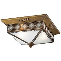 потолочный светильник odeon light morne 2544/2 в Дзержинске