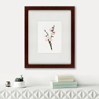 картина: apricot flower (prunus armeniaca), 1832 в Дзержинске