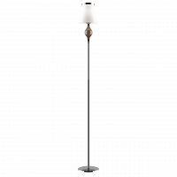 торшер lightstar escica 806710 в Дзержинске