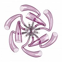 бра lightstar stella 892668 в Дзержинске