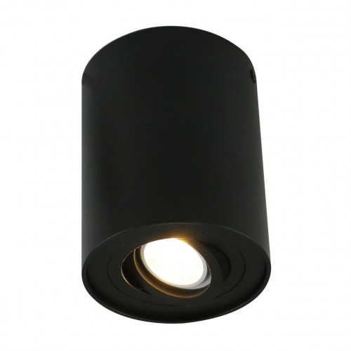 потолочный светильник arte lamp a5644pl-1bk в Дзержинске
