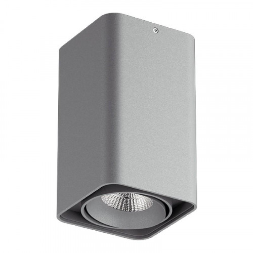 потолочный светильник lightstar monocco 212539 в Дзержинске