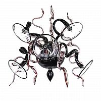 бра lightstar ricciolo 894657 в Дзержинске