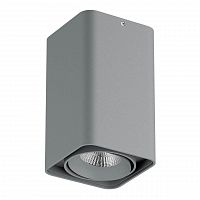 потолочный светодиодный светильник lightstar monocco 052139r в Дзержинске