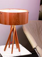настольная лампа artpole eco 001278 в Дзержинске