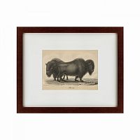 картина: bison, 1828 в Дзержинске