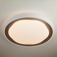 потолочный светодиодный светильник eurosvet range 40006/1 led кофе в Дзержинске
