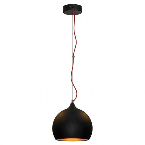 подвесной светильник lussole loft lsn-6116-01 в Дзержинске
