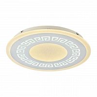 потолочный светодиодный светильник f-promo ledolution 2273-5c в Дзержинске