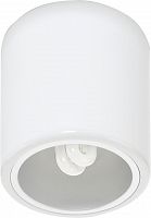 потолочный светильник nowodvorski downlight 4865 в Дзержинске