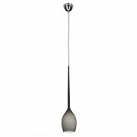 подвесной светильник lightstar meta duovo 807111 в Дзержинске