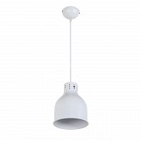 подвесной светильник arti lampadari colata e 1.3.p1 w в Дзержинске