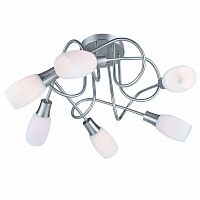 потолочная люстра arte lamp a4591pl-6ss в Дзержинске