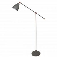 торшер arte lamp braccio a2054pn-1gy в Дзержинске