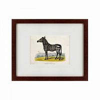 картина: a zebra, 1830 в Дзержинске
