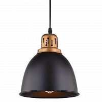 подвесной светильник arte lamp eurica a4245sp-1bk в Дзержинске