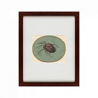 картина: spider, 1690 в Дзержинске