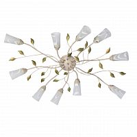 потолочная люстра mw-light восторг 242015510 в Дзержинске