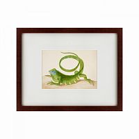 картина: green iguana, 1701 в Дзержинске
