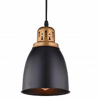 подвесной светильник arte lamp eurica a4248sp-1bk в Дзержинске