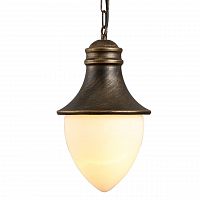 уличный подвесной светильник arte lamp vienna a1317so-1bn в Дзержинске