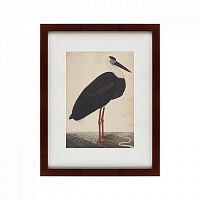 картина: black stork in a landscape, индия, 1780 в Дзержинске