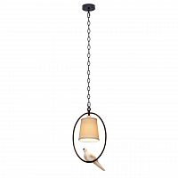 подвесной светильник loft it loft1029a-1 в Дзержинске