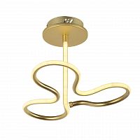 потолочный светодиодный светильник arti lampadari angelo l 1.2.35.03 g в Дзержинске